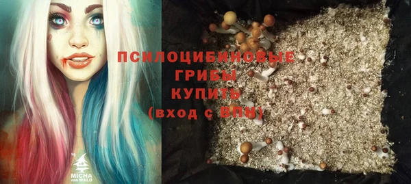 2c-b Михайлов