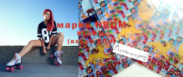 амф Михайловск