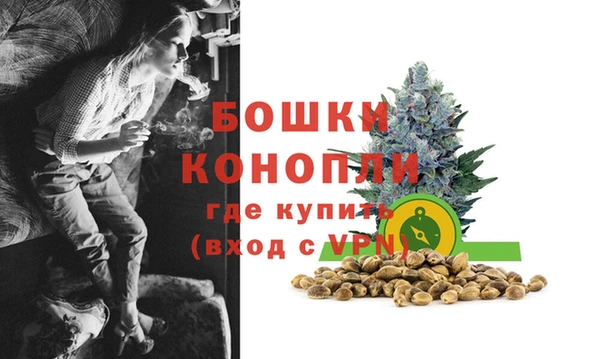 амф Михайловск