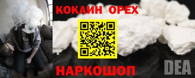 стафф Заводоуковск