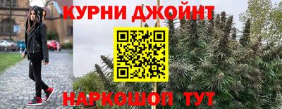 стафф Заводоуковск