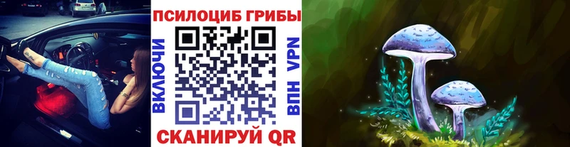 Галлюциногенные грибы Psilocybine cubensis Нальчик