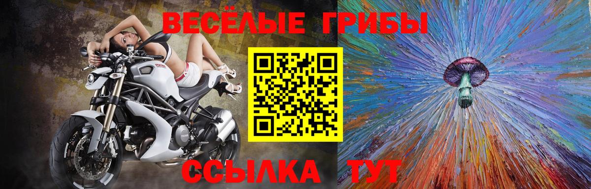 Галлюциногенные грибы MAGIC MUSHROOMS Нальчик